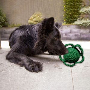 Hundespielzeug Blume, grün