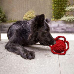 Hundespielzeug Blume, rot