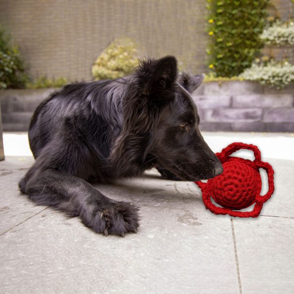 Hundespielzeug Blume rot