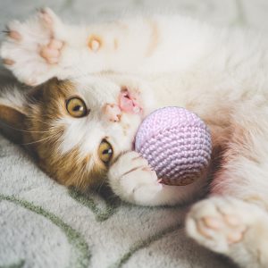 Katzenspielzeug Ball, rosa