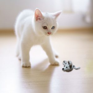 Katzenspielzeug Maus