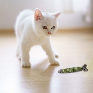 Katzenspielzeug Sardine, grün