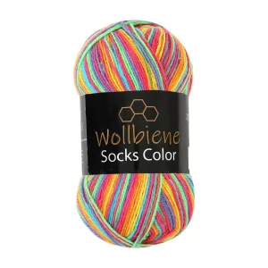 Wollbiene Socks Color 100g, regenbogen