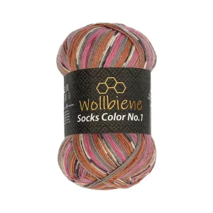 Wollbiene Socks Color 100g, beere braun grau